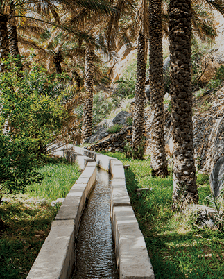 The Irrigation System